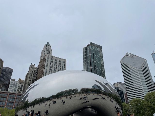 BeLiver at AACR 2025