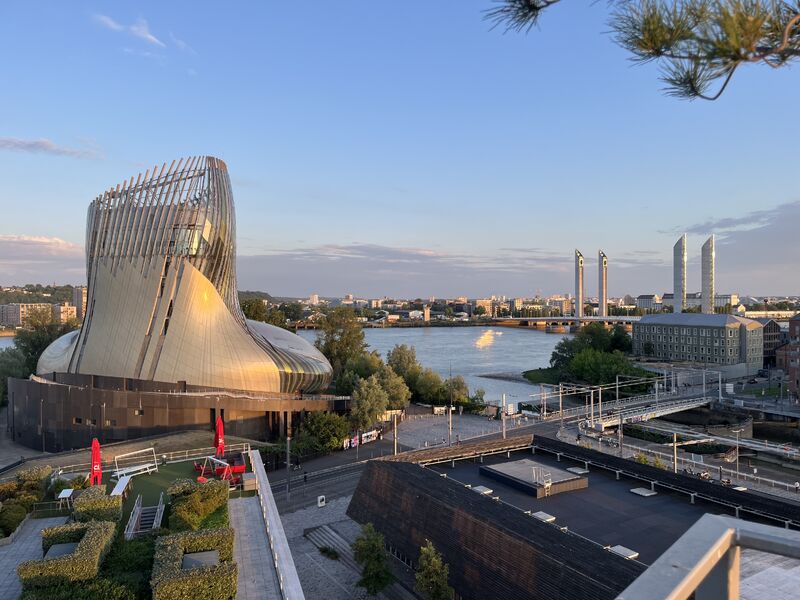 BeLiver team at MEET2WIN 2025